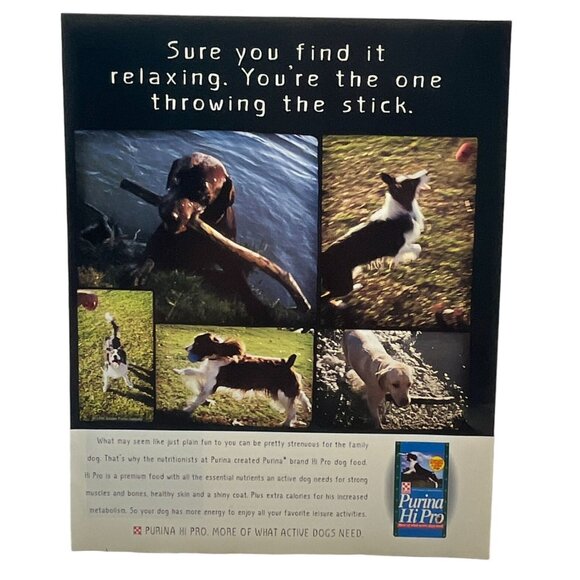 Purina Hi Pro Dog Food Print Ad Vintage 90s Active Dogs Stick Throwing - Picture 1 of 5